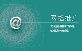 江蘇搜索引擎網(wǎng)絡推廣系統(tǒng)服務公司