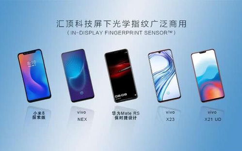 匯頂科技收購德國芯片設(shè)計公司DCT，深化應(yīng)用軟件服務(wù)布局